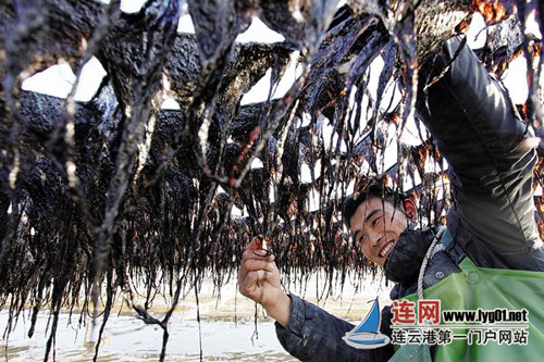 ���ո������ֵ��ϲ˷��ռ�