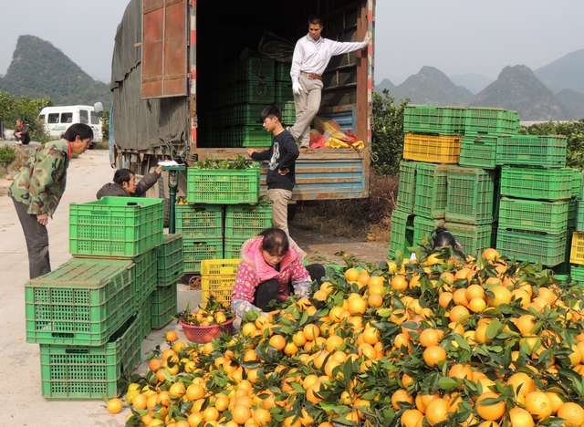 ����������ȷ�������