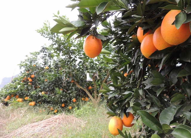 ����������ȷ�������2