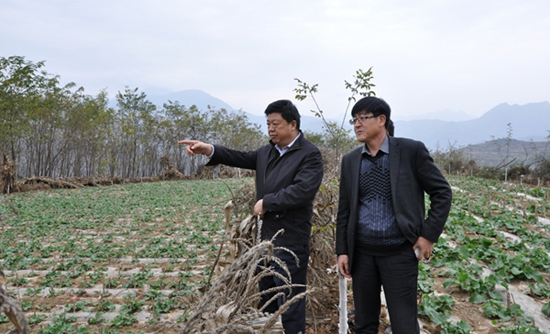 ¤ũ־ֳ뻧кũҵЧ漰ҩĲ