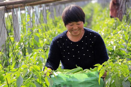 1113գʡڻضɵũڴڲժ⽷