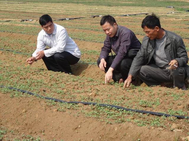 ����������ʯ�����ﶬ��ũҵ���������ȳ�