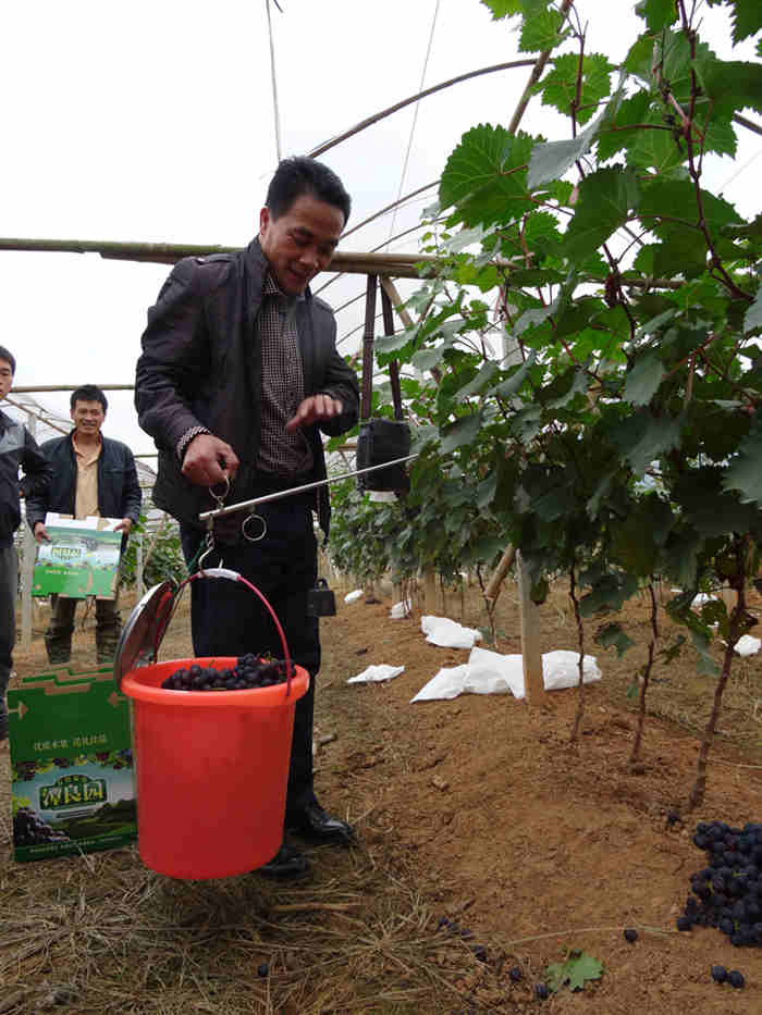 �����ڰ�̶ͷ��˫�����ѷ���