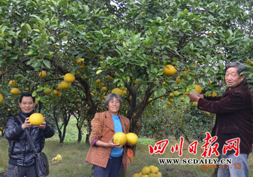 �Ĵ������дﴨ�����������ִ���Ķ�������֡�