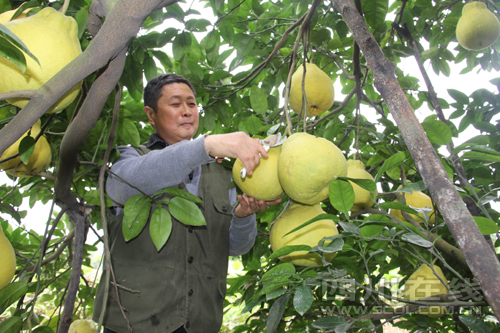 һǧ ĴϽذֵֽԤƴ3200Ԫ