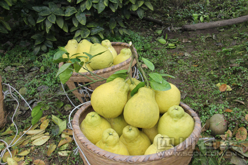 һǧ ĴϽذֵֽԤƴ3200Ԫ2