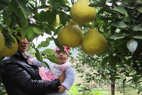 һǧ ĴϽذֵֽԤƴ3200Ԫ3