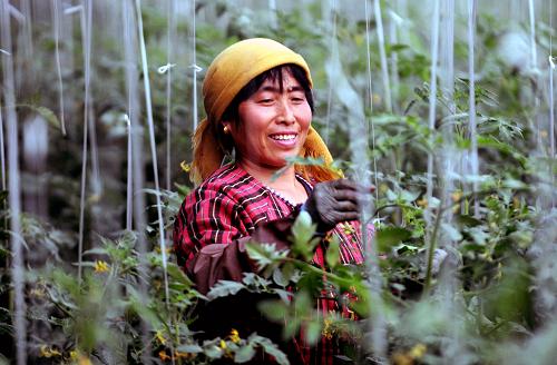 1119գںӱӪִʩũҵʾ԰ũڴڹ