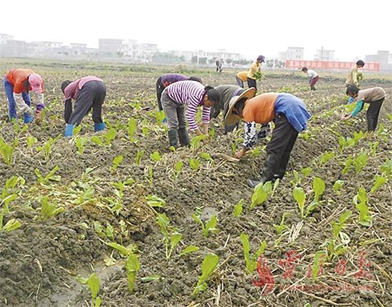 㶫޶ȳ ɶʳ߲10Ķ