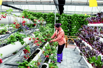 ִ̬ũҵʾ԰18Ʒͨ޹֤