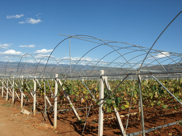 ϱũվݳɽڴίѼƸ칤