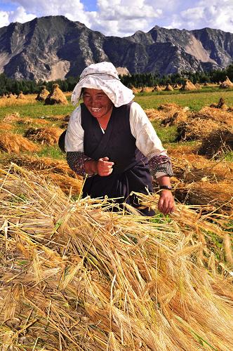 ������ʳ��������������