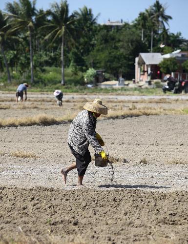 �������ǣ���Сѩ��ʱ������æ2