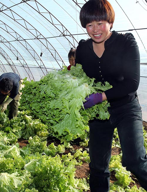 ��ΰ�߲�רҵ������ĳ�Ա���ջ��߲ˣ�11��17���㣩��