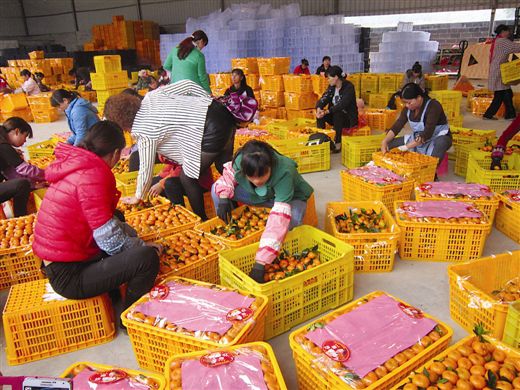 �����������۽�ϲ���� Ʒ�ƴ�����