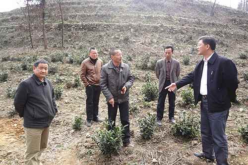 ٲҵ˾٣һ㱨ҶüҶӹ