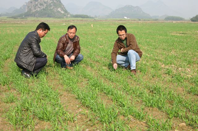 ���������ж���С����ϲ��