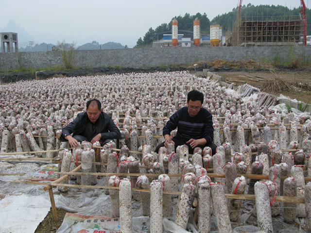 ��������������չʳ�þ���������ʾ������