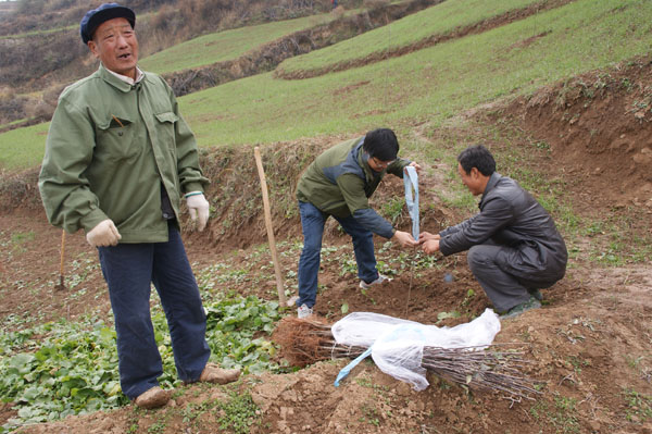 2014����������＾ƶ����ƻ�����ؽ����