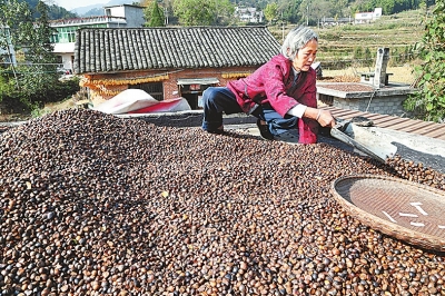 �����̳��أ��Ͳ��ϲ�����