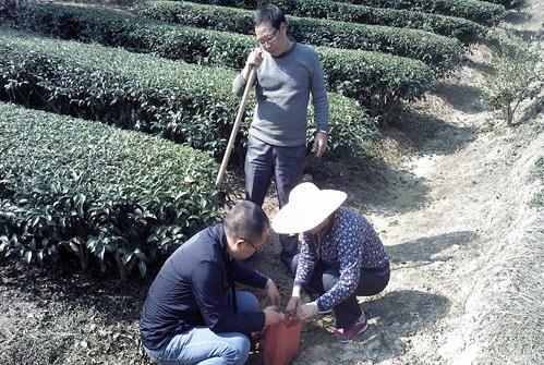 ������Ϫ����չ��԰�����ղ�