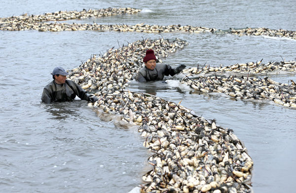 ���ա���̬ź������