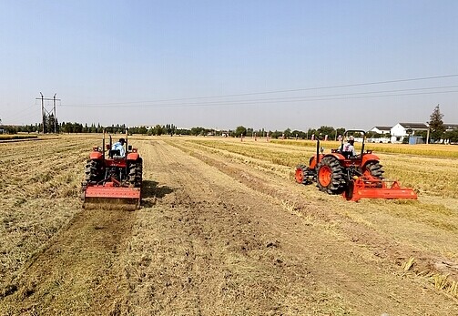 上海嘉定区2014年“三秋”工作圆满结束