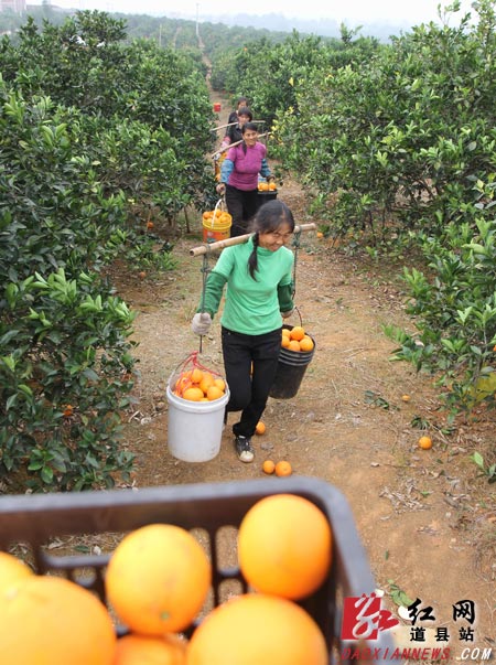 ͼΪϹĶȻأ̵԰ɹȣũ͹ɹͷּװ