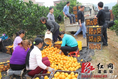 ͼΪϹĶȻأ̵԰ɹȣũ͹ɹͷּװ