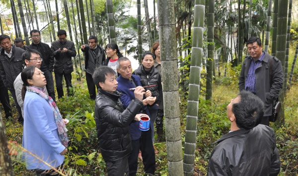 ���������أ������񶬳���������ѵ