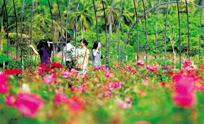 ���ϣ��´����������ȴ���԰