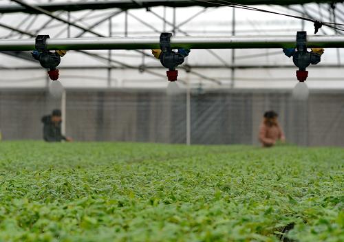 11��27�գ���Ա����������Է�߲�רҵ���������糵���ڹ�����