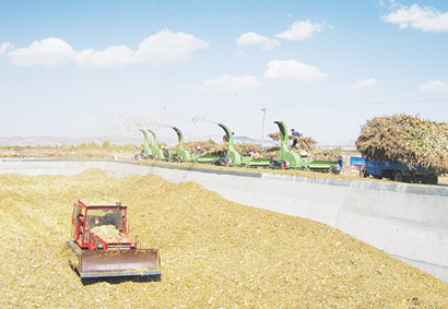 ��������л����ذѲݲ�ҵ��Ϊ��չũ�徭������ũ������֧�� ���衰��ҵ���ء�