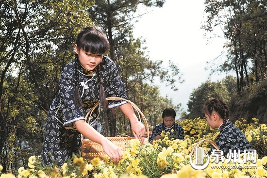 ڰϪһвҩأЩ칤ԱڻȲժջ