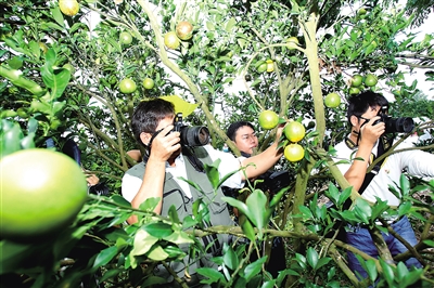 �������̳ȡ������οͲ�ժ�Ͳɷ硣