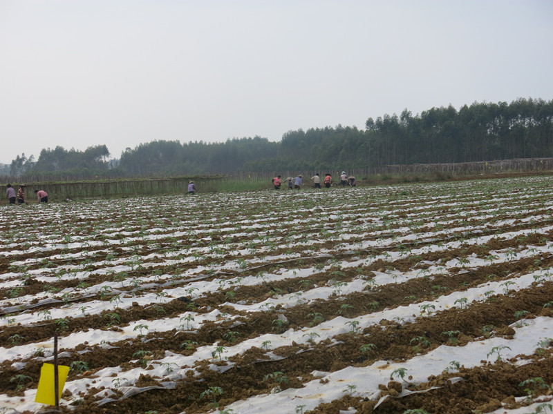 ������۸�������չ�ﶬ��������ũ����