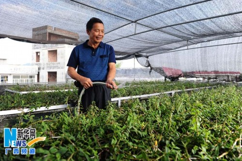 1130գʺֲڼиƤʯˮ