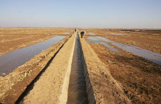 宁夏:巴浪湖农场冬灌工作圆满完成