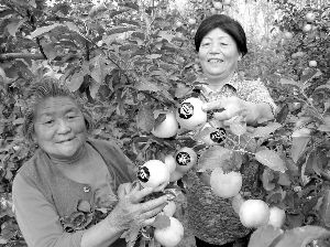 ƻ�����ȴû���� ���շ��ع�ũЦ������