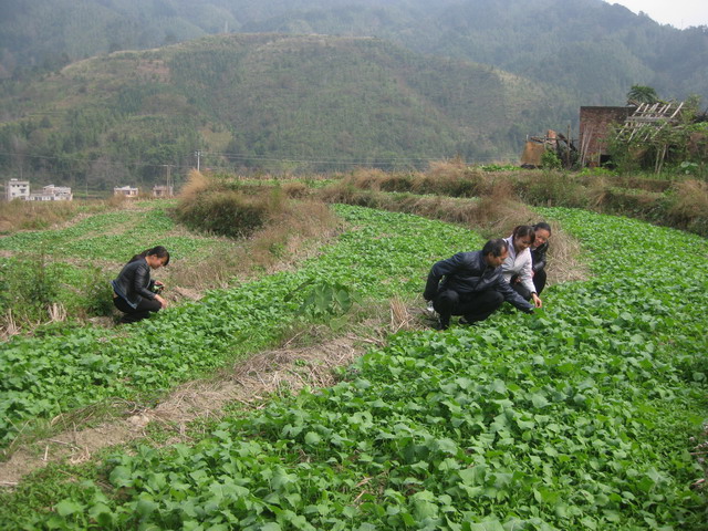 ����������˳����չ�����Ͳ�ʾ�����蹤��