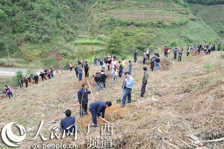 �����������������������ֲ����