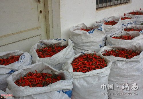 ����������������Ƭ������ֲϲ�����