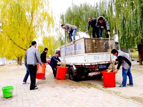 ��������̫����ˮ����лƺ����Ķ�������ֳ�����