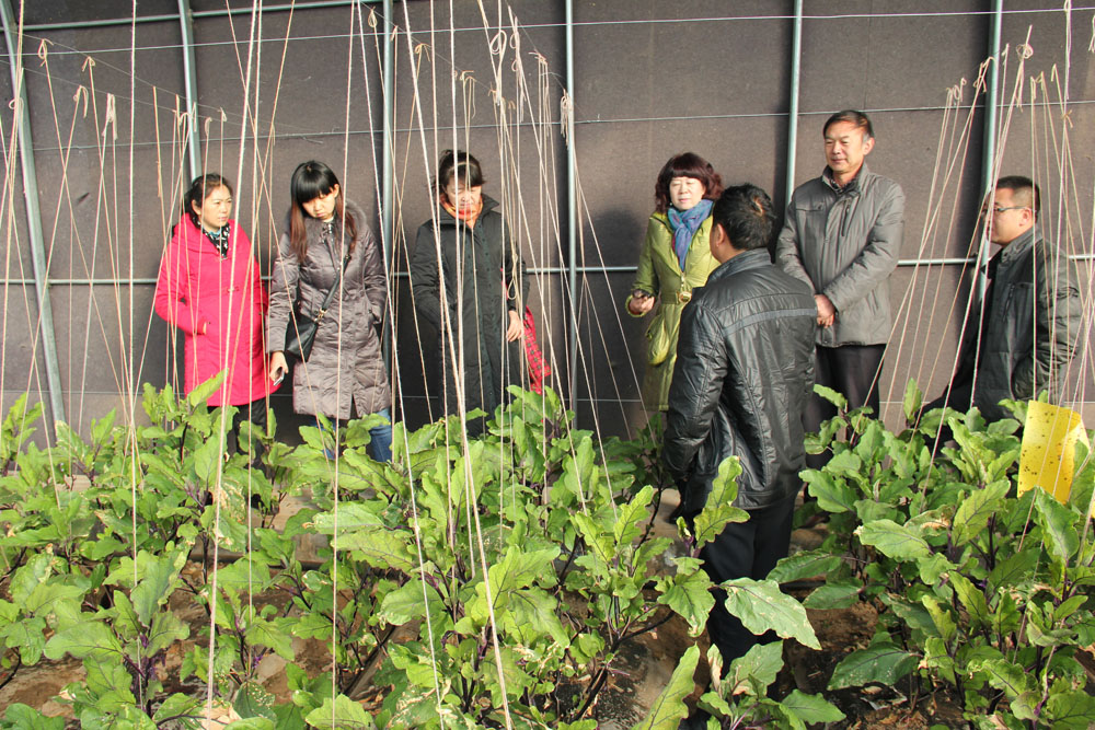 �����̨���߲˱�׼԰������Ŀ����ʡ������