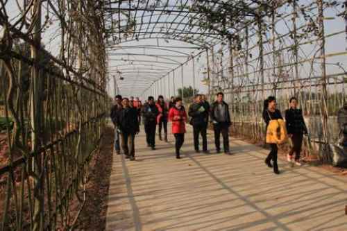 ͼΪ������ְҵũ������ѧԱ�ι۽�̫������ũׯ