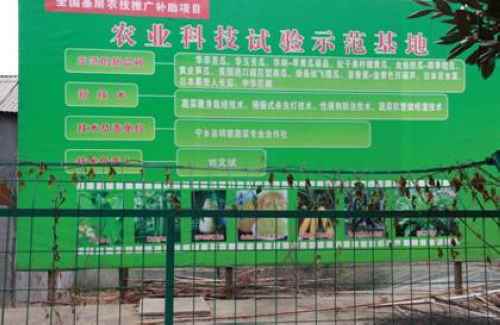 湖南宁乡:蔬菜大棚将成为农民致富的“聚宝盆”