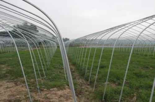 明德蔬菜专业合作社新建双层大棚