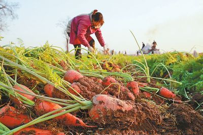 �������أ����ܲ�ϲ���տ���������