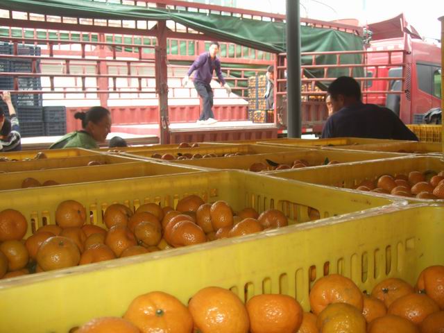 ���������ػ�����չ����ũҵ����ָ��