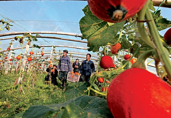 ���ջ��ϣ����ڻ�ˮ����